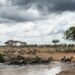 Delegación de Tanzania mostró interés en aplicar Plan Estratégico Financiero para áreas protegidas nacionales