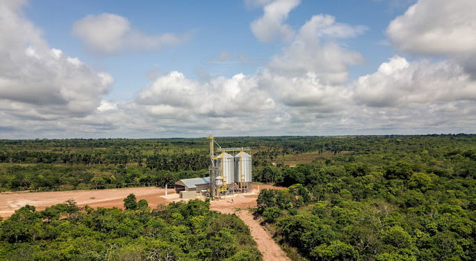 Organizaciones ecologistas exigen que no se aprueben semillas transgénicas