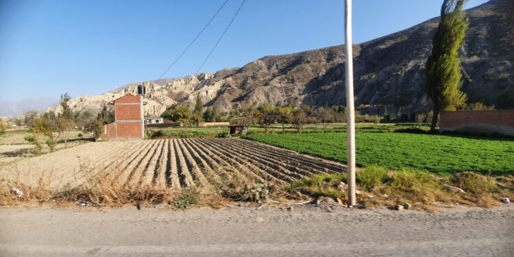 Expansión urbana en áreas de cultivos en Mecapaca pone en riesgo la seguridad alimentaria
