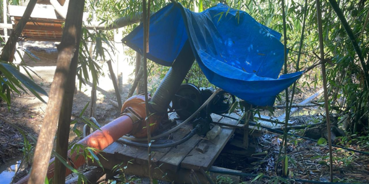 Conminan al gobierno a erradicar minería y asentamientos de áreas protegidas