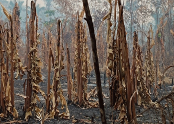 Denuncian que el auxilio no llega a quienes lo necesitan