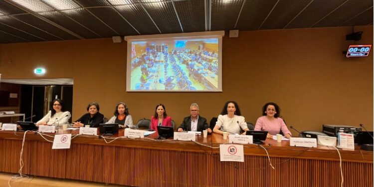 EPU: En Naciones Unidas, sociedad civil boliviana denuncia violación de DDHH y el Gobierno no se presenta