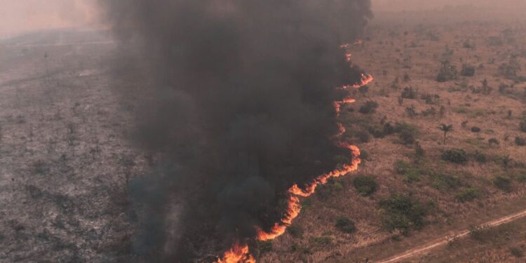 La invisible amenaza que acecha nuestros pulmones después de los incendios forestales
