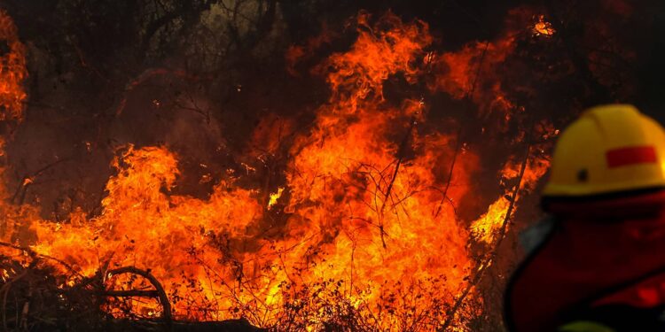 Juan Carlos Gómez:  “Si se puede sostener por 50 años la no quema de Tierras Fiscales no disponibles, sería realmente efectiva”