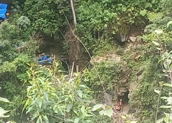 Vorágine aurífera contamina el agua con mercurio y destruye el bosque de montaña en Yanacachi