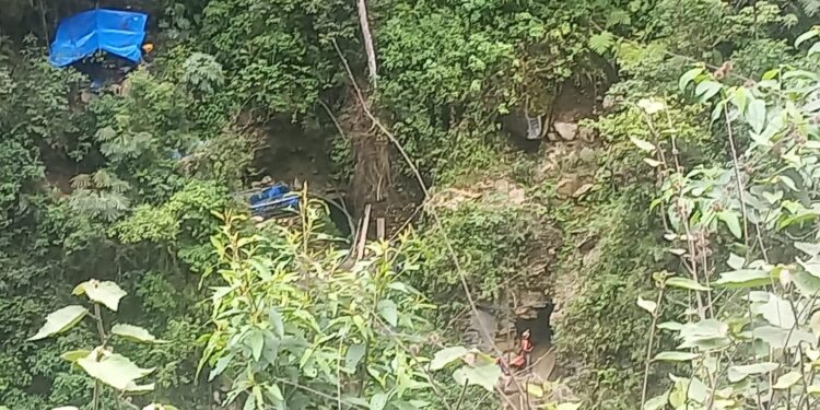 Vorágine aurífera contamina el agua con mercurio y destruye el bosque de montaña en Yanacachi