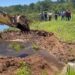 Por orden judicial: se inicia la restitución del cauce del río San Lorenzo y la remoción de presa