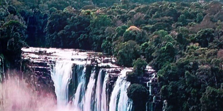 Informe hacia el EPU: se deben usar tecnologías alternativas para extraer mercurio antes de 2026