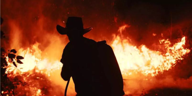 Protagonista del documental Don Benjamín: “No tenemos un gobierno que diga aquí se detienen los incendios”
