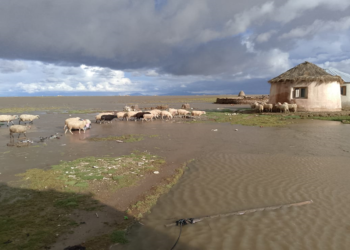 Comunidad Uru Chipaya cercada de agua por el desborde del río Lauca e inundaciones de cultivos