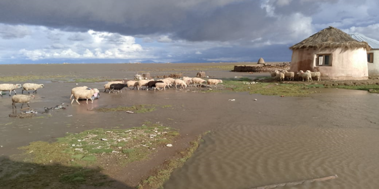 Comunidad Uru Chipaya cercada de agua por el desborde del río Lauca e inundaciones de cultivos