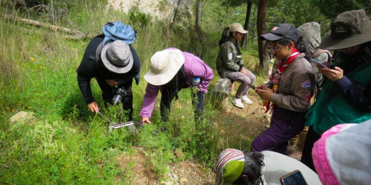 Agrupaciones ciudadanas impulsan la ciencia ciudadana en el Reto Ciudad Naturaleza 2025 en todo el país