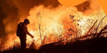 Revelan que extranjeros ofrecían apagar el fuego de los incendios forestales si les dejaban explotar oro