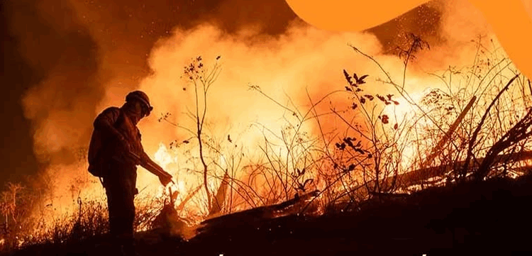 Revelan que extranjeros ofrecían apagar el fuego de los incendios forestales si les dejaban explotar oro