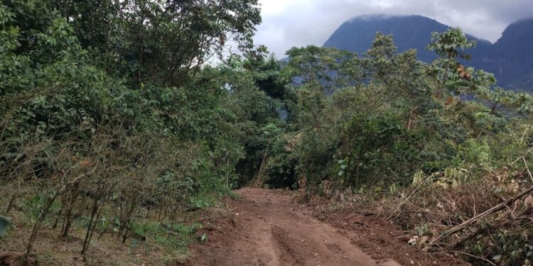 El Parque Nacional Carrasco es perforado por actividades ilegales, mientras cultivos de coca ilegal crecen un 38%