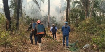 Redesca advierte: incendios forestales en Bolivia alcanzaron niveles alarmantes en los últimos años