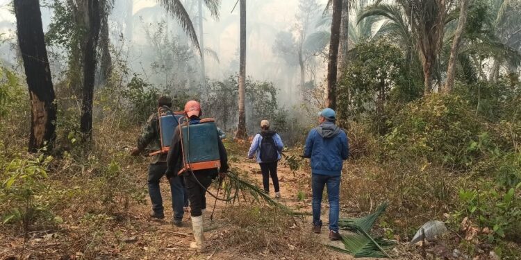 Redesca advierte: incendios forestales en Bolivia alcanzaron niveles alarmantes en los últimos años