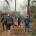 Redesca advierte: incendios forestales en Bolivia alcanzaron niveles alarmantes en los últimos años
