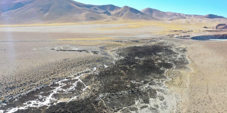 Salar Hombre Muerto. Crédito: Observatorio Plurinacional de Salares Andinos