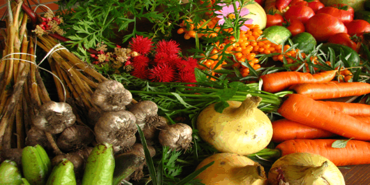 Promueven la conversión a municipios agroecológicos libres de minería