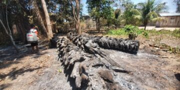 En el Día del Medioambiente denuncian intención por aprobar nuevos paquetes normativos que ponen en riesgo territorios y AP