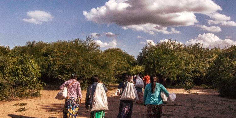 Desplazamiento forzado por cambio climático. Foto: Redes Chaco