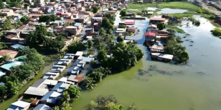 Relatoría Especial de la CIDH preocupada por el impacto de los desastres climáticos en Bolivia