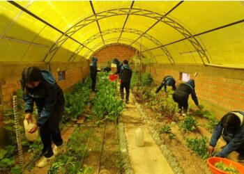 La sociedad civil alerta que la seguridad alimentaria está en riesgo y llama al Estado a tomar acciones