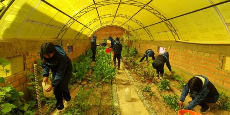 La sociedad civil alerta que la seguridad alimentaria está en riesgo y llama al Estado a tomar acciones