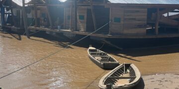 Amazonía contaminada: Ese Ejja, Tacana y Cavineño claman a la justicia boliviana detener la minería ilegal en el río Madre de Dios