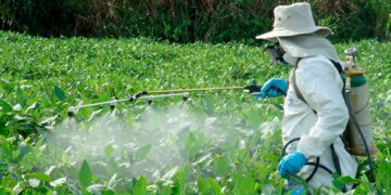 Elizabeth Vargas: “Si estás de acuerdo con la agroecología no puedes estar a favor del uso de agrotóxicos”