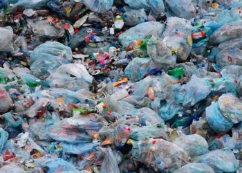 3 de julio: Día Internacional libre de bolsas plásticas y sin ley en Bolivia