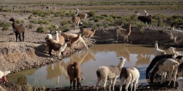 Defensoría del Pueblo activa medida cautelar ambiental en resguardo de recursos hídricos