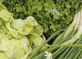 Sucre será sede del II Foro Nacional Agroecológico