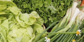 Sucre será sede del II Foro Nacional Agroecológico