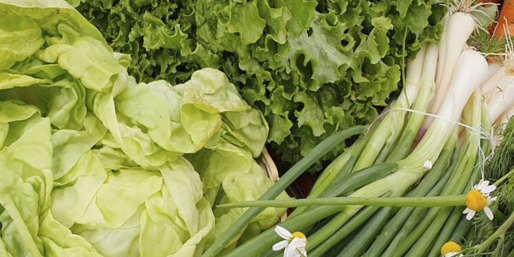 Sucre será sede del II Foro Nacional Agroecológico