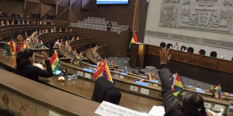 Defensoría busca frenar tratamiento legislativo del contrato de explotación de litio con empresa rusa con medidas cautelares
