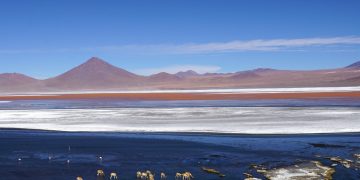 Día Nacional de las Áreas Protegidas: entre el asedio de los incendios forestales, el extractivismo y los avasallamientos