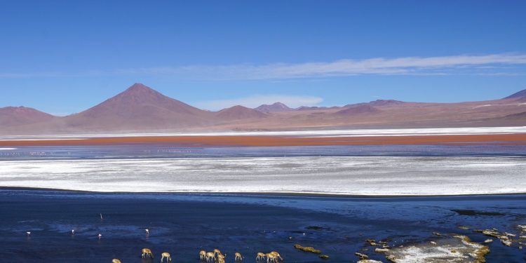 Día Nacional de las Áreas Protegidas: entre el asedio de los incendios forestales, el extractivismo y los avasallamientos