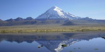 Senado aprueba proyecto de ley que eleva a rango legal la creación de 15 áreas protegidas en Bolivia