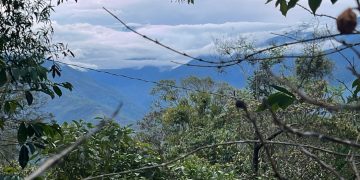 Bolivia comprometida con la protección efectiva de al menos 30% de la superficie de las áreas protegidas al 2030