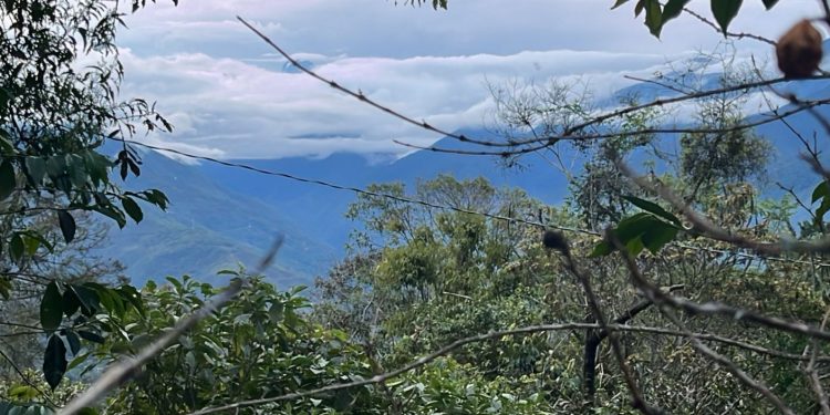 Bolivia comprometida con la protección efectiva de al menos 30% de la superficie de las áreas protegidas al 2030
