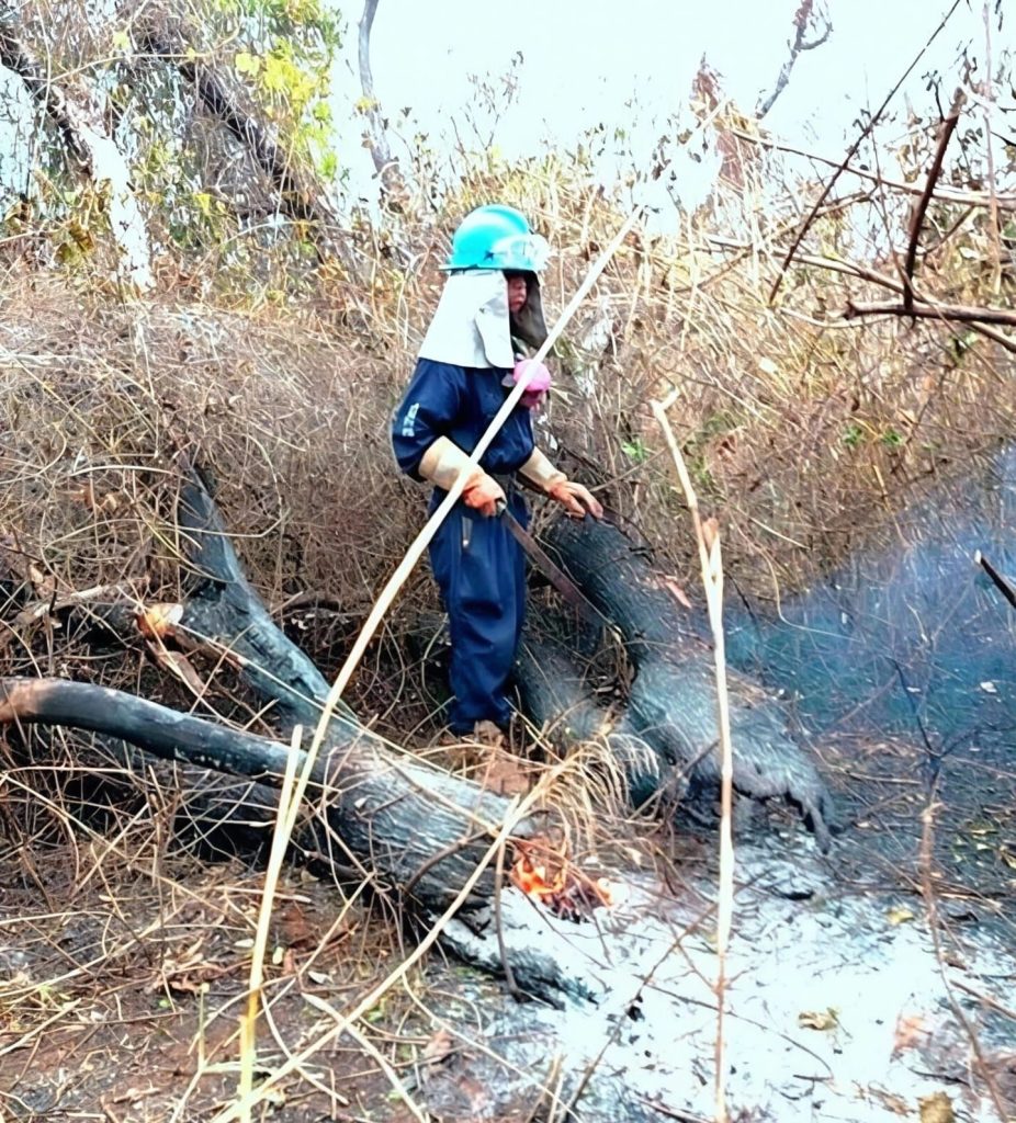 Las labores de liquidación en el Ñembi Guasu obligan a revisar tronco por tronco. Aunque el Gobierno declaró el incendio extinguido, en el terreno persiste el riesgo de reactivación y la necesidad de apoyo logístico.
