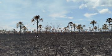 Jornada electoral entre humo y cenizas