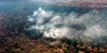 Los bosques y áreas protegidas de Bolivia comenzarán a recibir justicia