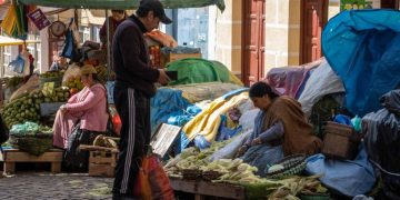 Sociedad civil llama a candidatos a presentar propuestas claras para proteger la alimentación en Bolivia 