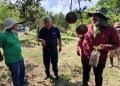 Senado aprueba ley de bioinsumos para la transición agroecológica y la conservación de biodiversidad