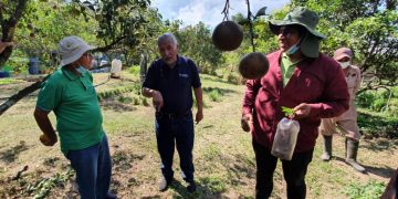 Senado aprueba ley de bioinsumos para la transición agroecológica y la conservación de biodiversidad