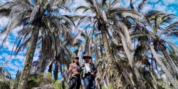 El Palmar: reservorio mundial en biodiversidad, cultura y turismo sostenible