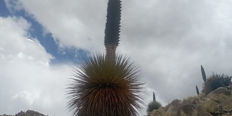 Comanche: educación, turismo y biodiversidad